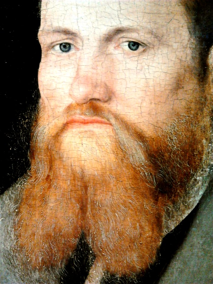 Cranach the Younger Portrait of a bearded man (detail)