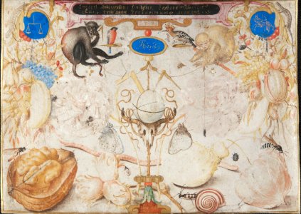 Joris Hoefnagel - Allegory of autumn