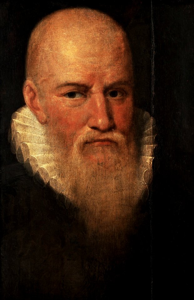 Flanders Portrait of a bald man with a beard