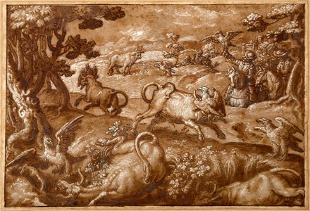 Stradanus - Men hunting bulls with falcons