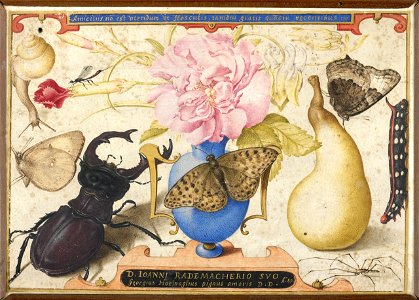Joris Hoefnagel - Allegory for Johannes Radermacher