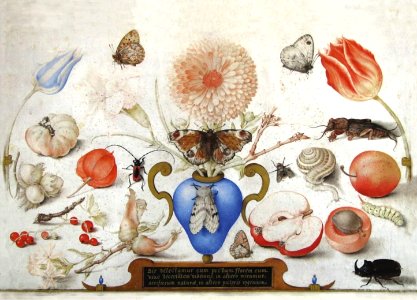 Joris Hoefnagel - Vase with marigold, other flowers and butterflies, surrounded by flora and fauna (2)