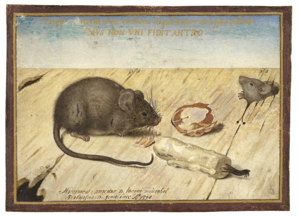 Joris Hoefnagel - Two mice