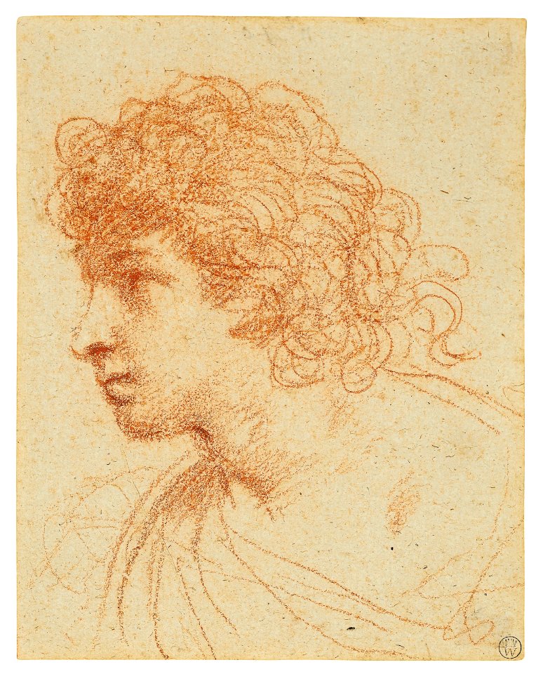 Guercino - Head of boy, in profile to the left