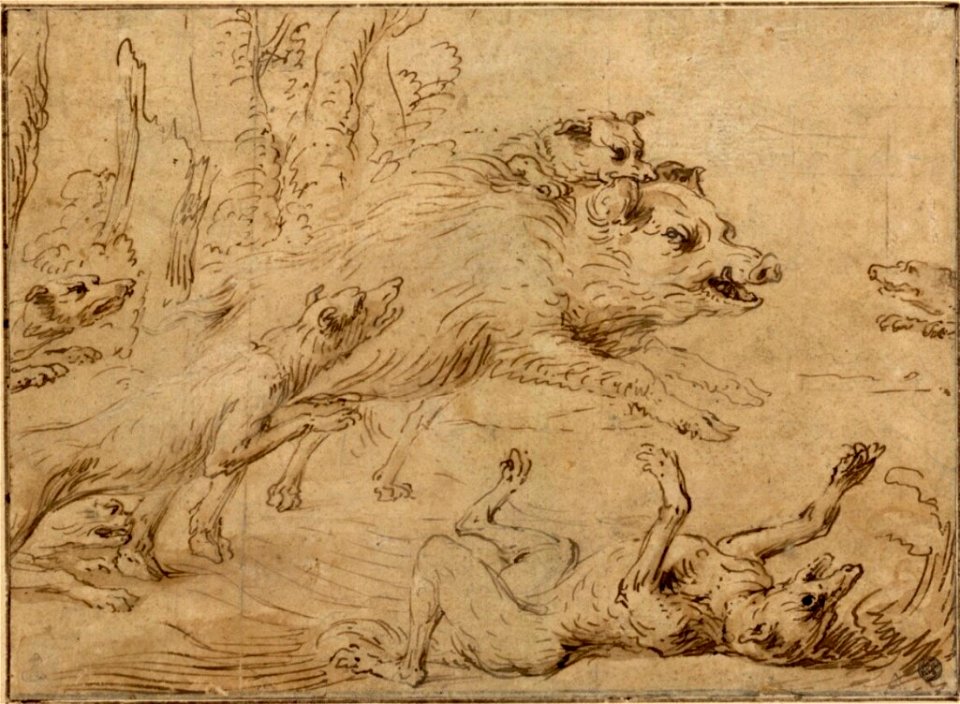 Frans Snyders - Boars attacked by hounds