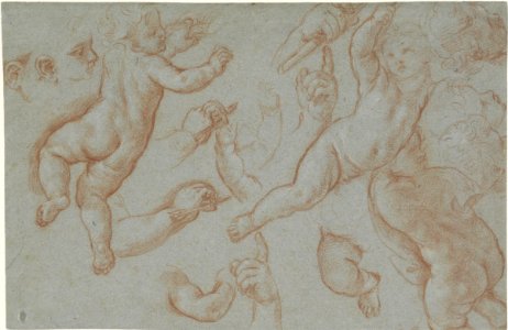 Jacob Jordaens - Flying putti