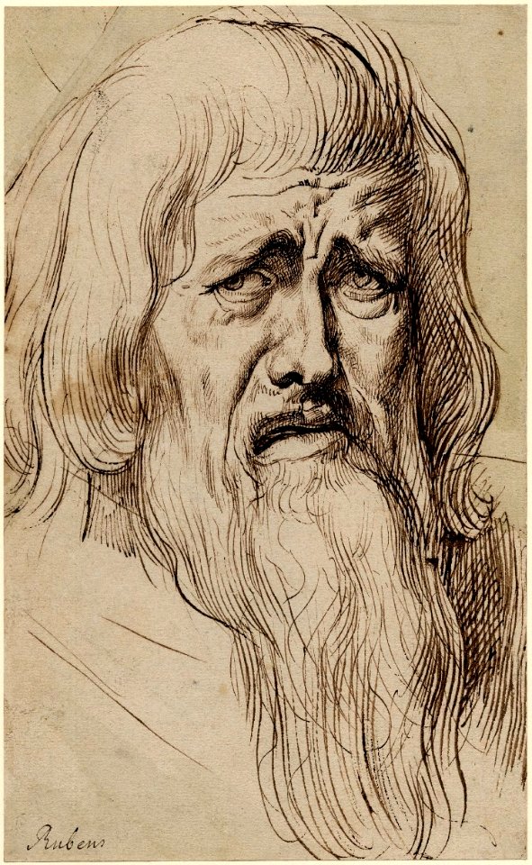 Peter Paul Rubens - Head of a weeping bearded man