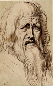 Peter Paul Rubens - Head of a weeping bearded man