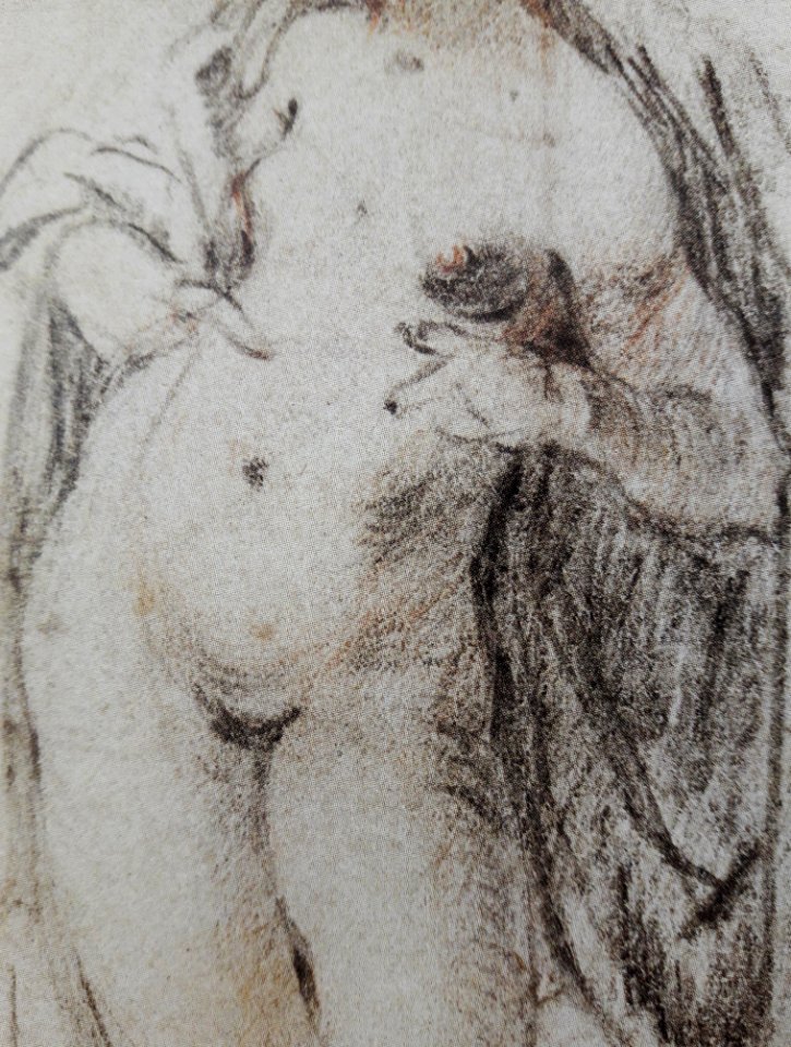 Spranger Study of a female nude (detail) 02