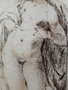 Spranger Study of a female nude (detail) 02