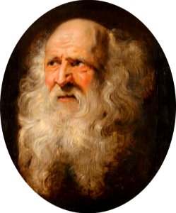 Peter Paul Rubens - Head study of an old man with a curly beard