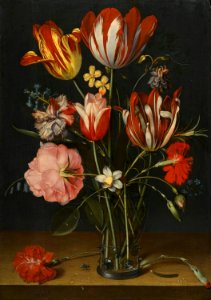 Jacob van Hulsdonck - Still life of tulips, carnations, a rose and other flowers in a glass beaker resting on a wooded ledge. Free illustration for personal and commercial use.