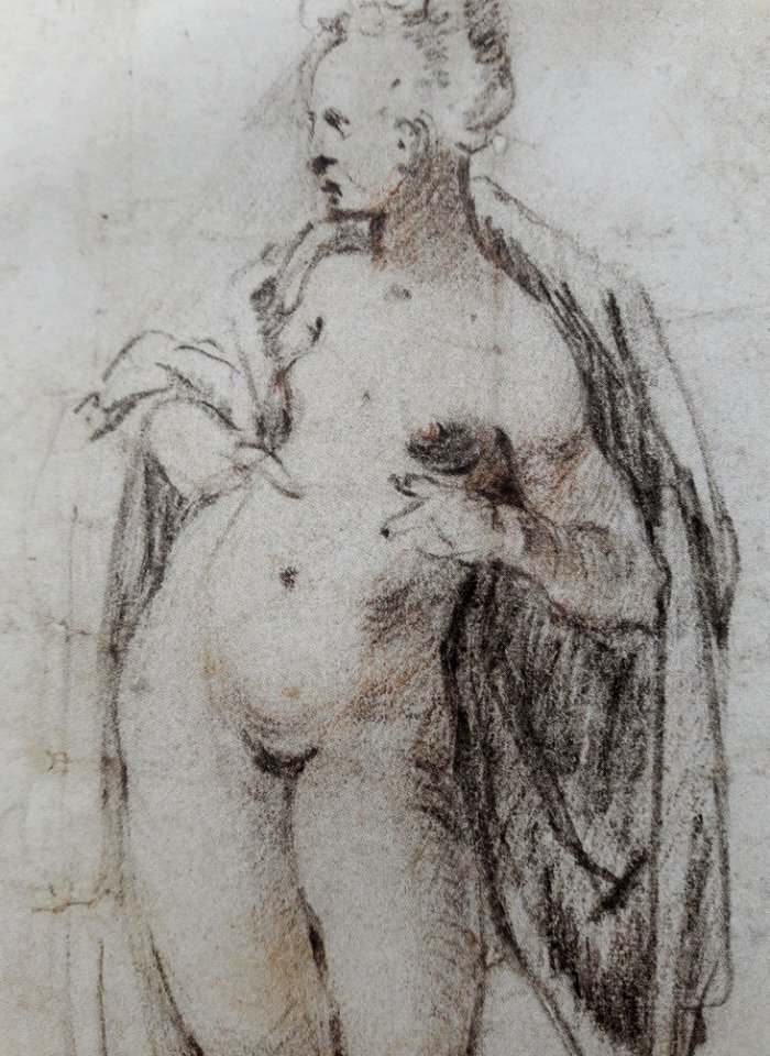 Spranger Study of a female nude (detail) 01