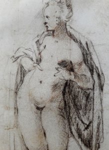 Spranger Study of a female nude (detail) 01