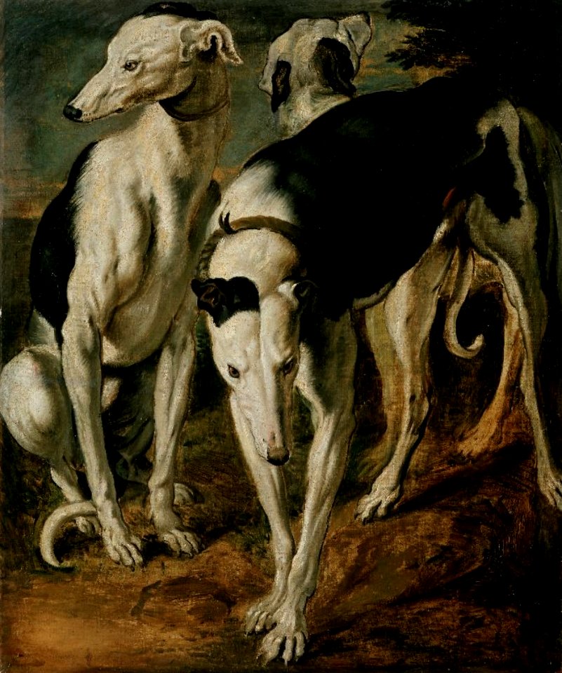 Frans Snyders - Three greyhounds