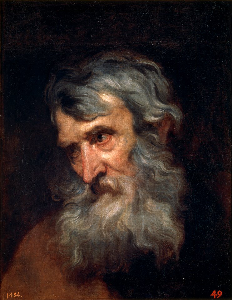 Anthony van Dyck - The Head of an Old Man