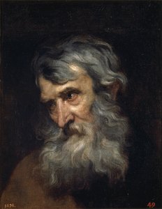 Anthony van Dyck - The Head of an Old Man. Free illustration for personal and commercial use.