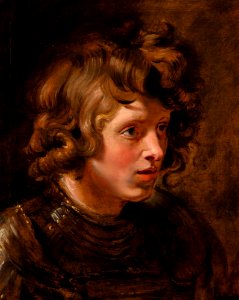 Peter Paul Rubens - Head of a young man wearing armour