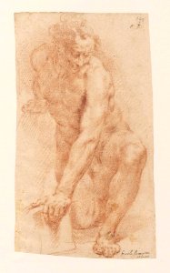 Proccacini Nude man kneeling on one knee