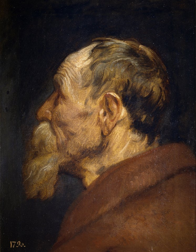 Anthony van Dyck - Head of an Old Man