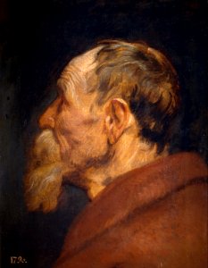 Anthony van Dyck - Head of an Old Man. Free illustration for personal and commercial use.