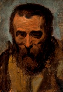 Jacob Jordaens - Head of a man. Free illustration for personal and commercial use.