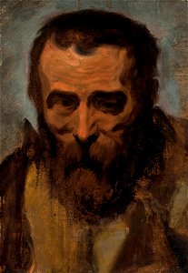 Jacob Jordaens - Head of a man