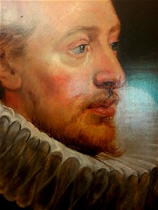 Rubens Portrait of a young man (detail)