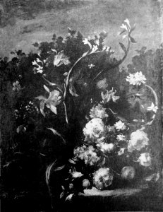 Cárdenas Flowers