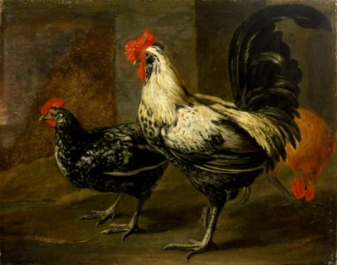 Pieter Boel - Cockerel and hens. Free illustration for personal and commercial use.