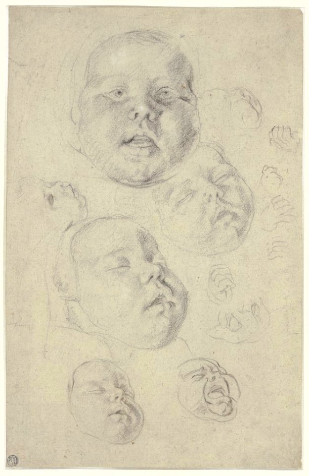 Cornelis de Vos - Studies of the head and hands of a child