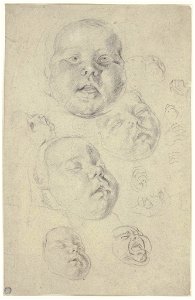 Cornelis de Vos - Studies of the head and hands of a child