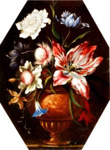 Francesco Caldei (Attr.) - Still life of flowers in an urn on a ledge