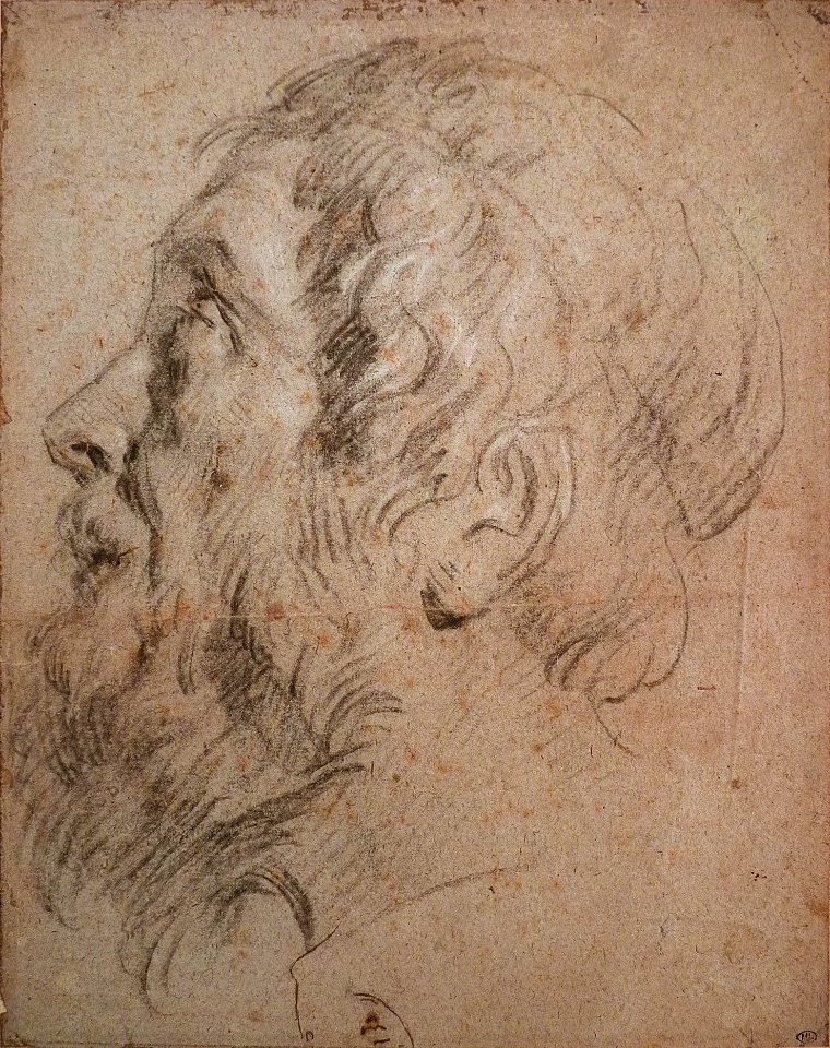 Anthony van Dyck - Study of a man's head in profile