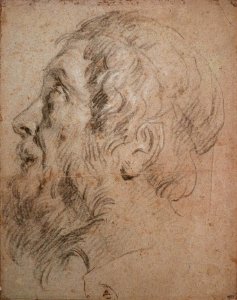 Anthony van Dyck - Study of a man's head in profile