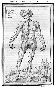 163 Charles Estienne 1545