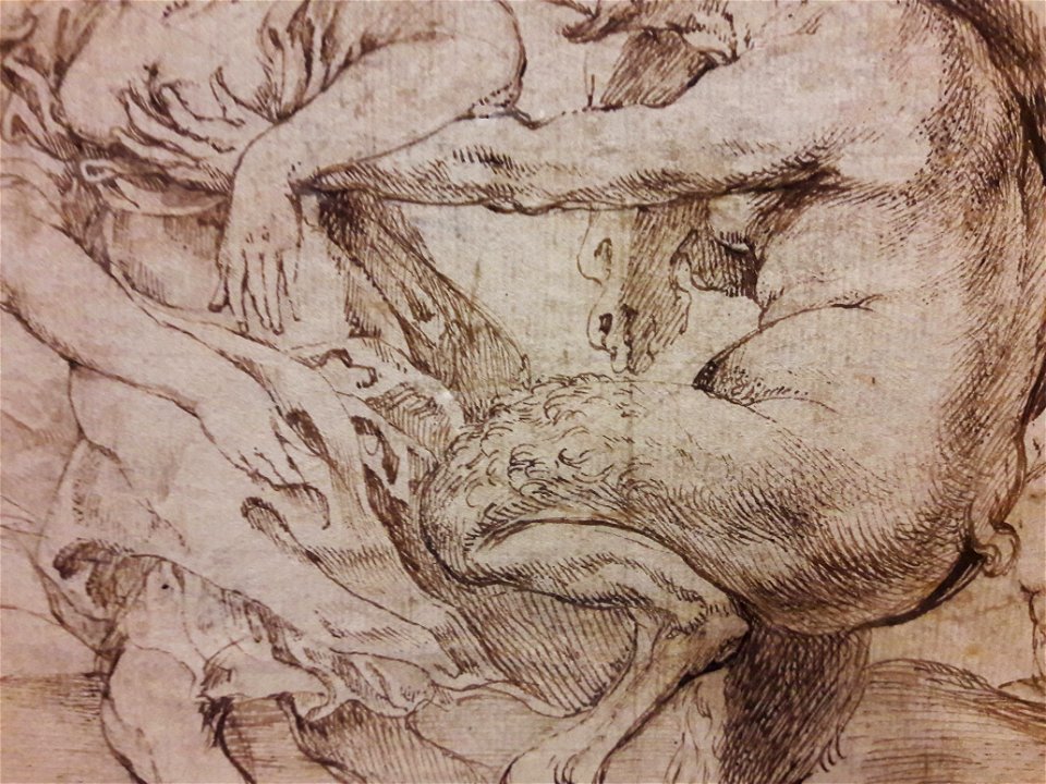Rubens Satyrs chasing nymphs (detail) 02