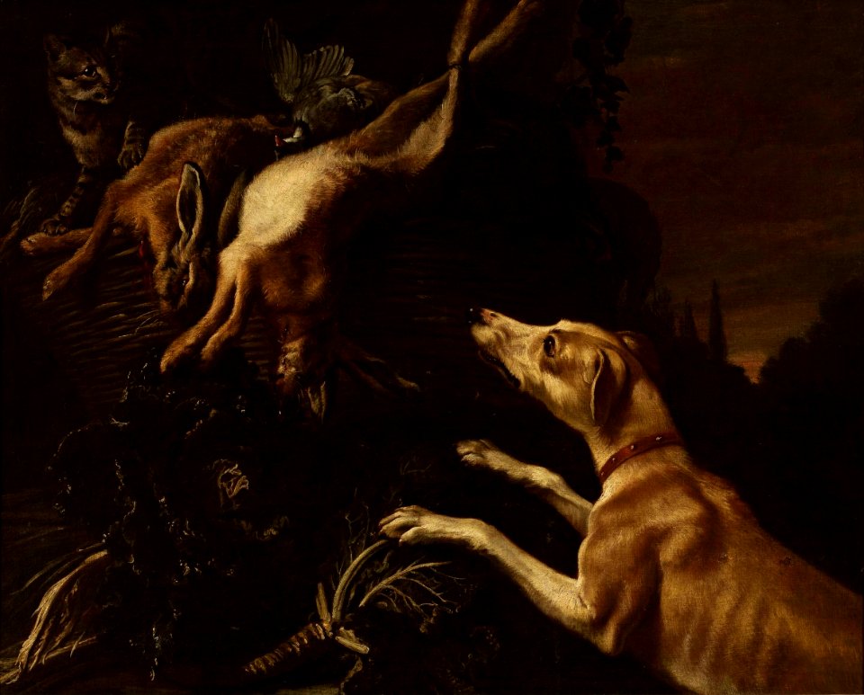 Vonck Dog attacking a cat