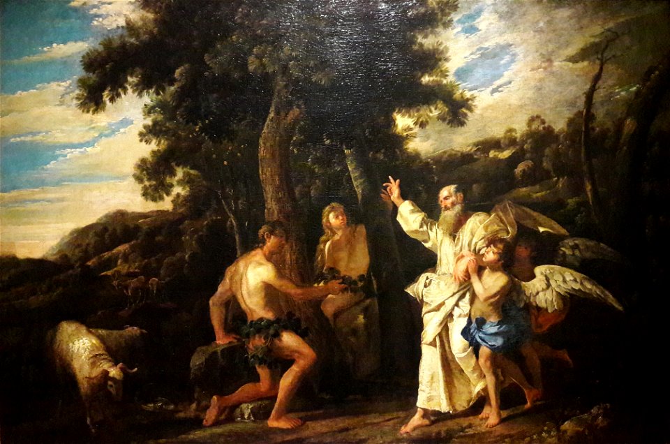 Mola Expulsion from Paradise 02