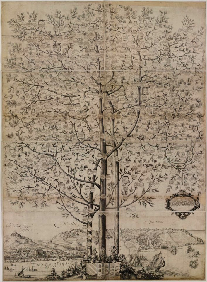 Wenceslaus Hollar, Jacob van Werden - Genealogical tree of three Portuguese families