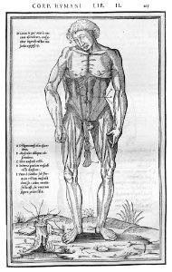 165 Charles Estienne 1545