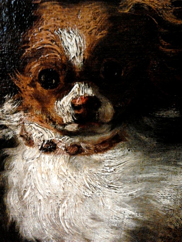 Velázquez Dog and cat (detail). Free illustration for personal and commercial use.