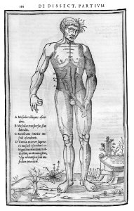166 Charles Estienne 1545