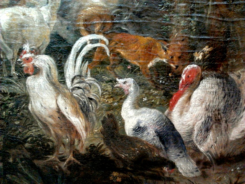 Willmann Creation of the World (detail) 03