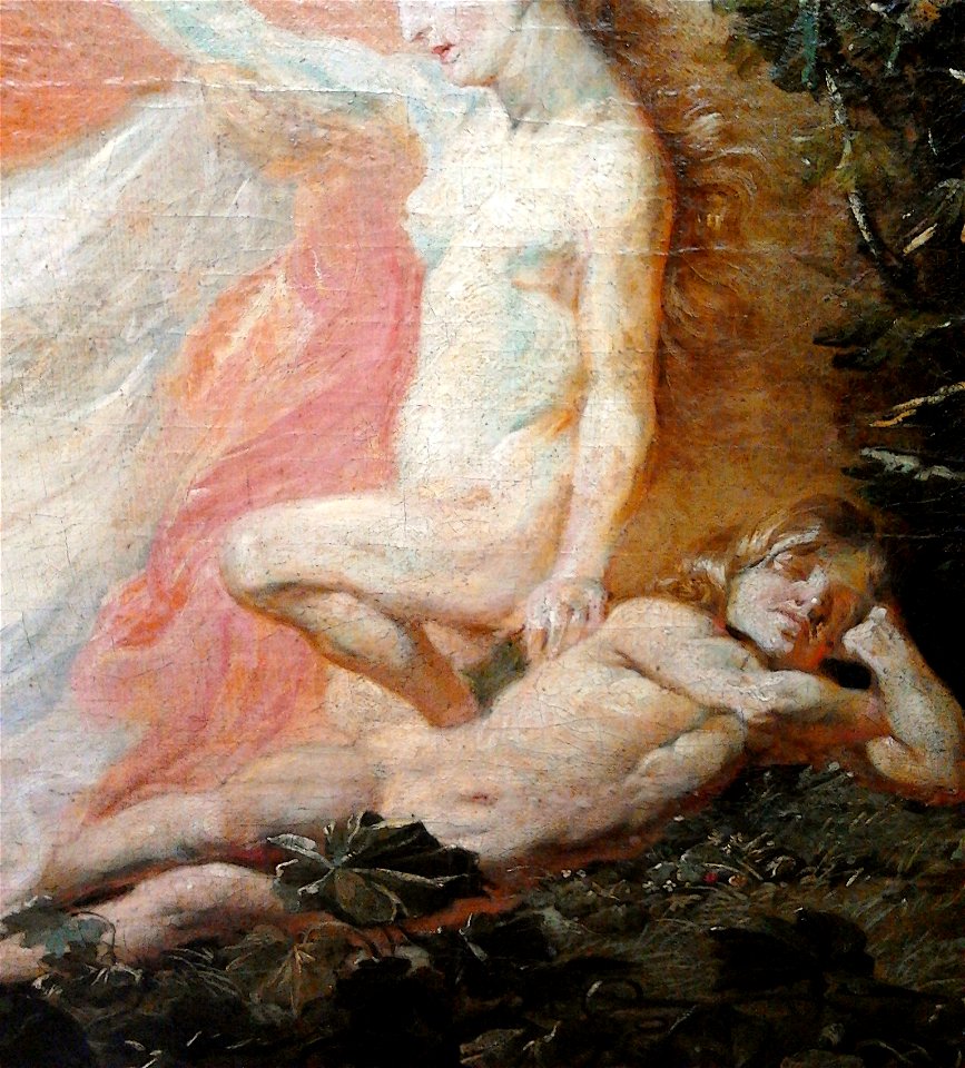 Willmann Creation of the World (detail) 04