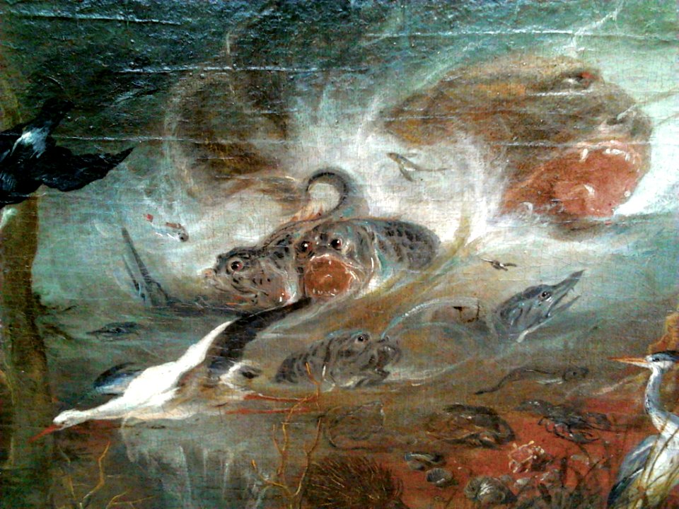 Willmann Creation of the World (detail) 01