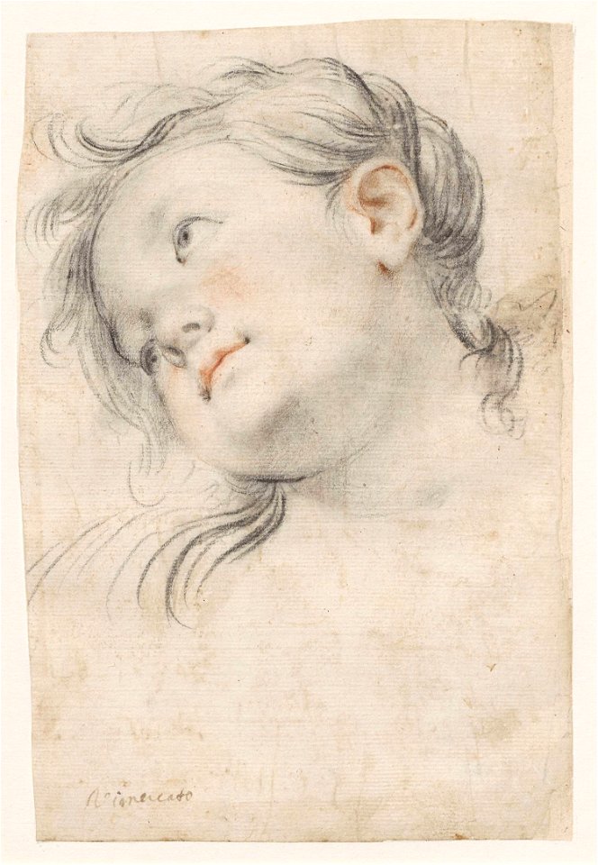 Vimercati Head of an angel
