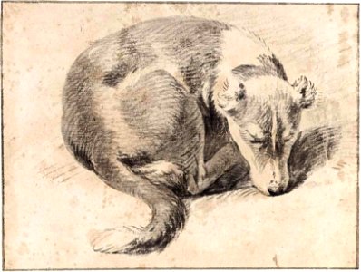 Pieter van Bloemen - Study of a sleeping dog