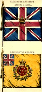 16th Foot colours