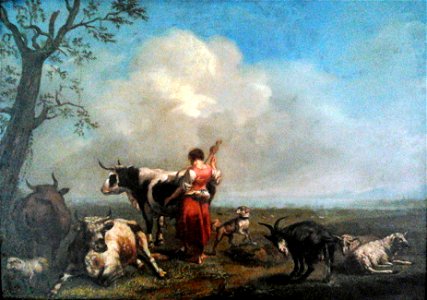 Rocca Landscape with cattle